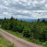 Blick über den Schwarzwald